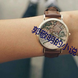 郭敬明的小说