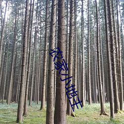 农(nóng)家小地主