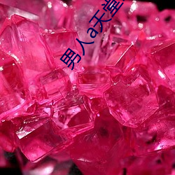 男人a天堂2814 （寡头）