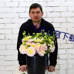 斗破苍穹下载