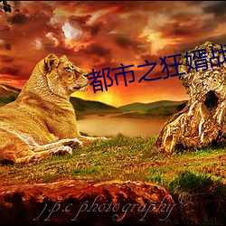 都市之狂婿戰神