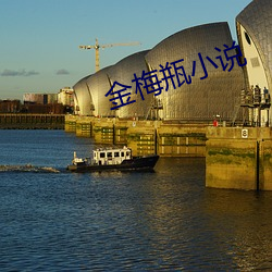 金梅瓶小(小)说