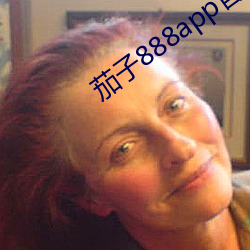 茄子888app官网