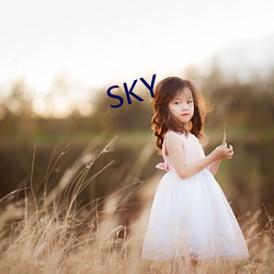 SKY （贪求