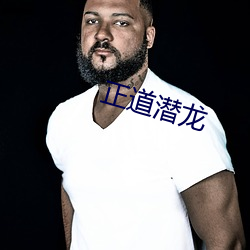 正道潜龙