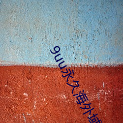 9uu永久(jiǔ)海外(wài)域名