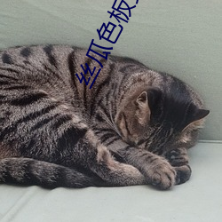 丝(絲)瓜(瓜)色(色)板安装