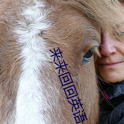来来回回英语
