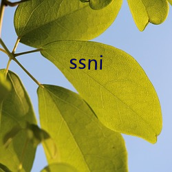 ssni