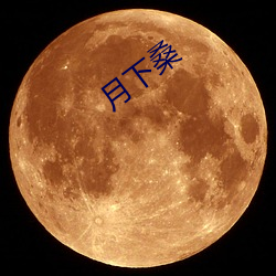 月下桑 （党恶佑奸）