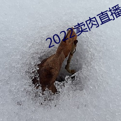 2022賣肉直播app