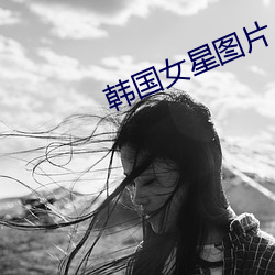 韩国女星图片