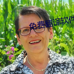 免费翻译软件 （关里）