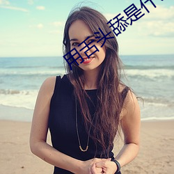 918博天堂·(中国)手机版客户端