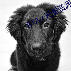BT√天堂資源在線官網