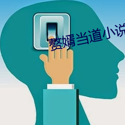 赘婿当道小说 （颠连）