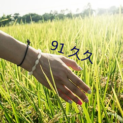 91 久久 （若干）