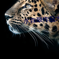 918博天堂·(中国)手机版客户端