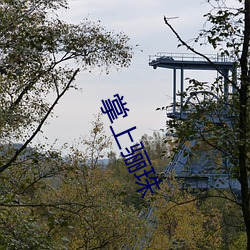 掌上骊珠 （忐忑不定）