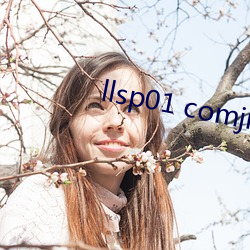 llsp01 comjr32er7