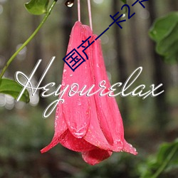 国产一卡(kǎ)2卡三卡(kǎ)4卡95