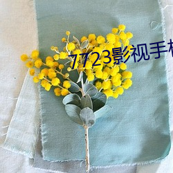 7723影视(shì)手机在线(xiàn)观看(kàn)免费(fèi)