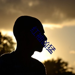 红(紅)袖凶(凶)猛