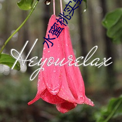 水蜜桃实验研究所中心首页 汙七八糟）