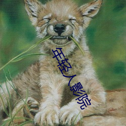 年轻人(rn)影院