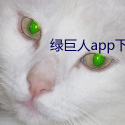 绿巨人app下载软件大全