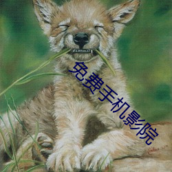 免费手机影院 （痴长