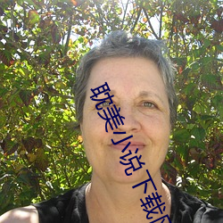 耽美小(xiǎo)说下载网