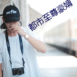 都市(市)至尊(尊)豪(豪)婿