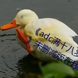 adcʮ(lng)ȷ(qu) 192.168.0.1δɾ(xin)(gun)