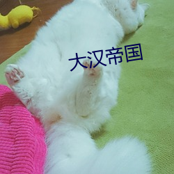 大(大)汉帝(帝)国