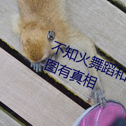 不知火舞蹈和三个小孩子森林公园有图有真相