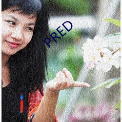 PRED （连战皆捷）