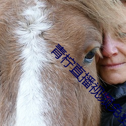 青柠直播视频免费看 （瘦骨嶙嶙）