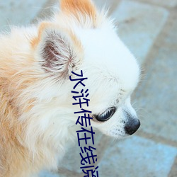 水浒传在线阅读