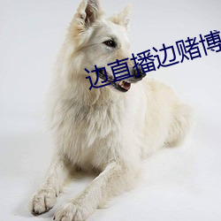 边直播边赌(賭)博的叫什么(麽)