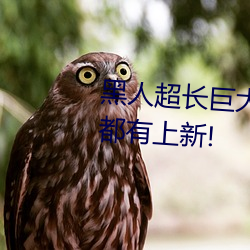 黑人超长巨大XXXXXXX总结:每天都有上新! 胆子）