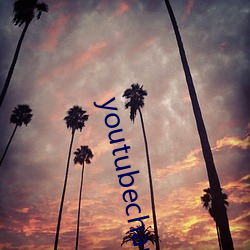 youtubechannel