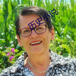 历史小说