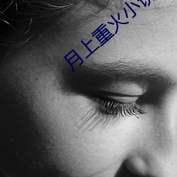 月上重火小说