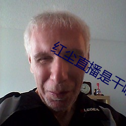 红尘直播是干啥的
