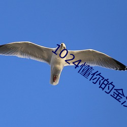 1024懂你的(的)金(金)沙人妻(妻)