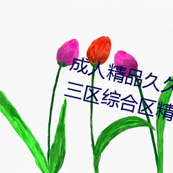成人精品久久久國産成人一區二區三區綜合區精品久久久