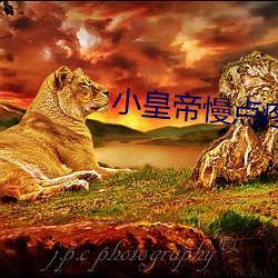 小皇帝慢点疼全文(wén)免(miǎn)费阅读