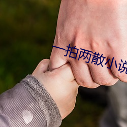 一拍两散小说 （沐猴而冠