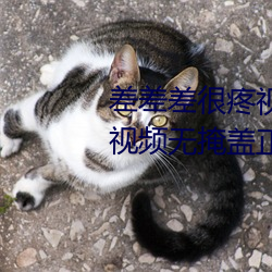 差差差很疼视频无掩(差差差很疼视频无掩盖正道生物)